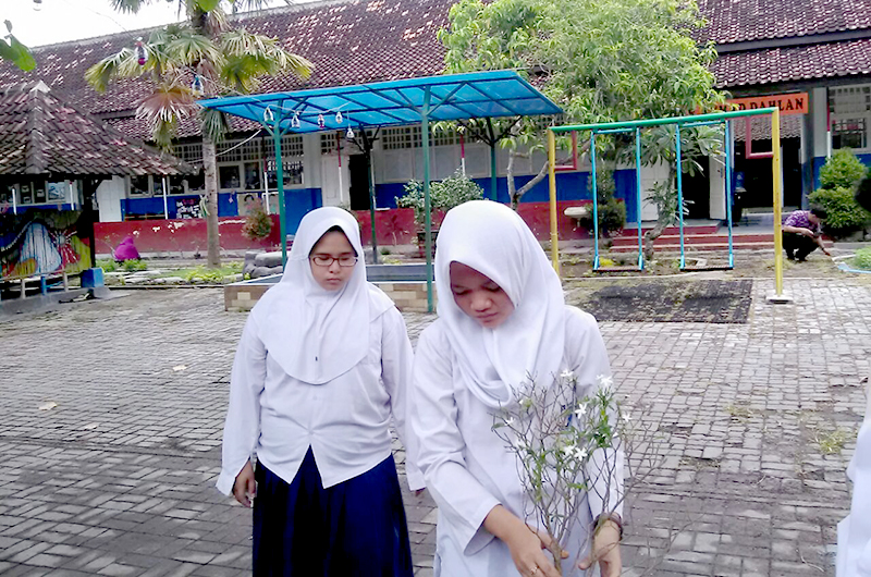 Budidaya Tanaman Hias & Buah